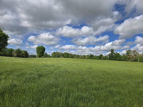 7 Dickens Hill Rd, Bradyville, TN, 37026-5246 | Card Image