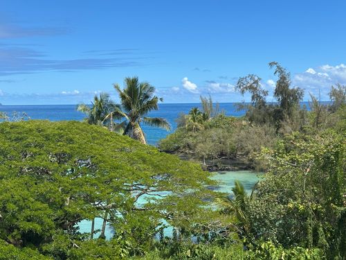 505-1875 Mauna Loa St, Hilo, HI, 96720 | Card Image