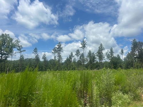 0 Grant 433, Sheridan, AR, 72150 | Card Image