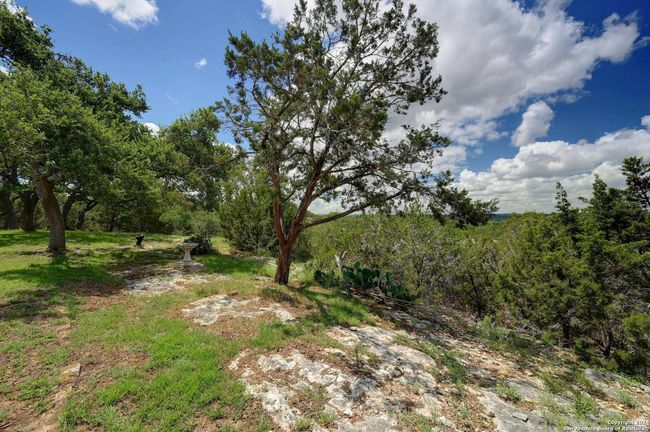 286 Thoroughbred Ln, House other with 3 bedrooms, 2 bathrooms and null parking in Spring Branch TX | Image 23