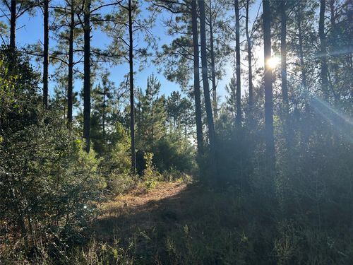 11 Sw Commerce St, Lovelady, TX, 75851 | Card Image