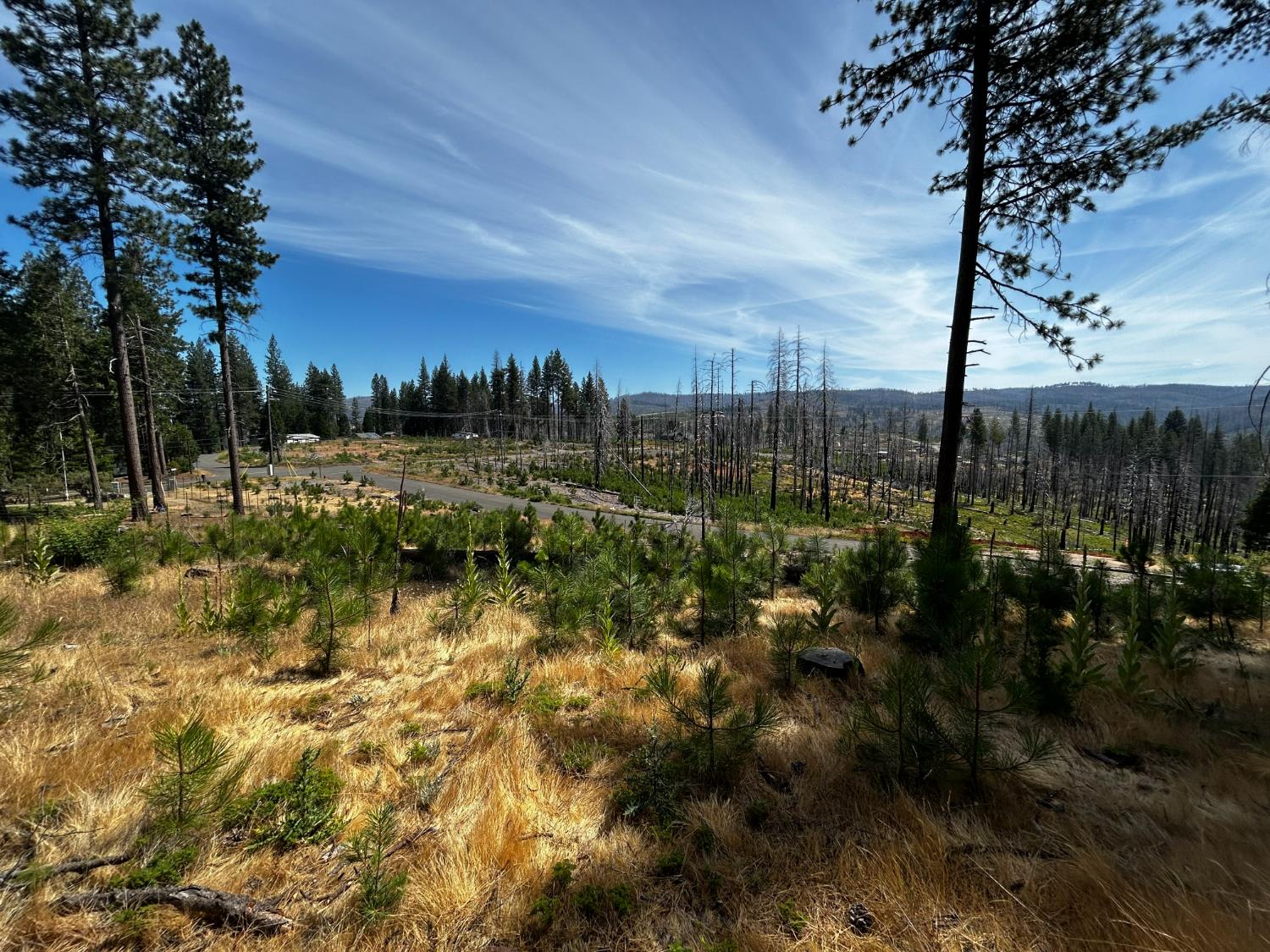 Land in Grizzly Flats 2