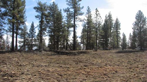 9-0 Canadian Honker Ln, Chiloquin, OR, 97624 | Card Image