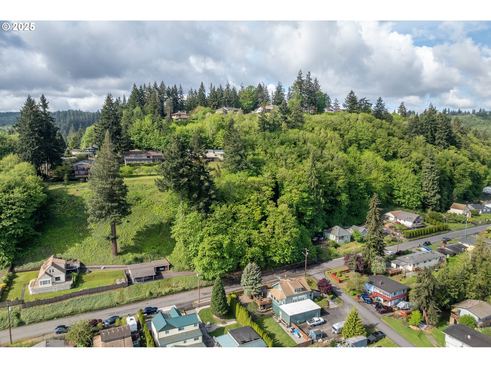 Land in Rainier 3