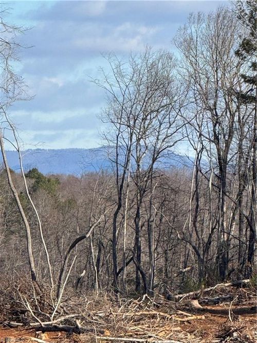 00 Money Rd, Dobson, NC, 27017 | Card Image