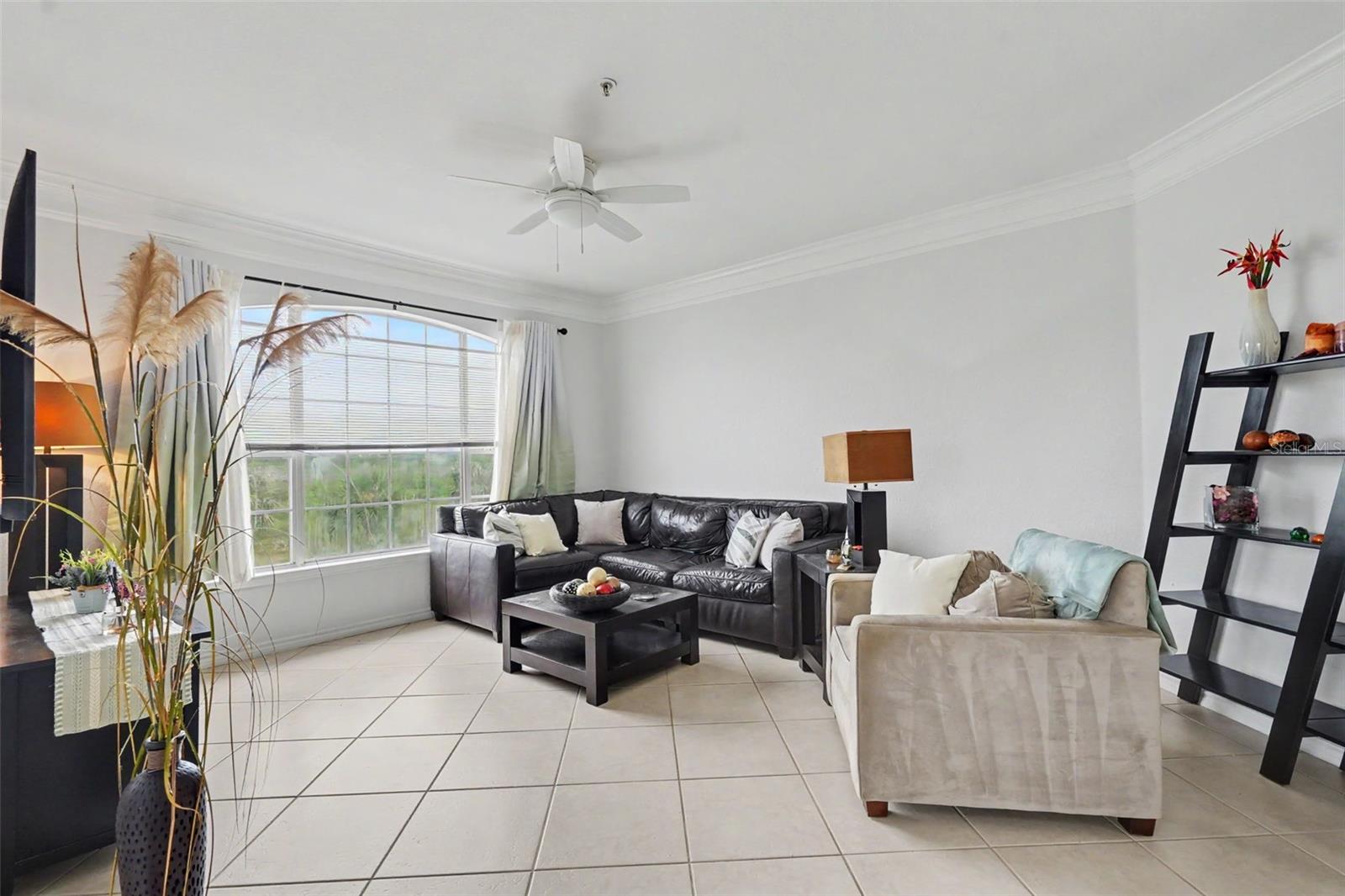 Residential in TAMPA 4