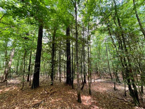 56.48 acres Ouachita 387, Camden, AR, 71701 | Card Image