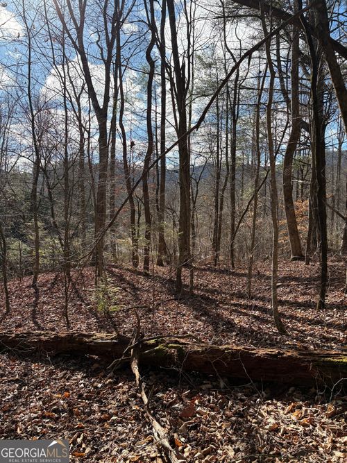 0 Big Creek Rd, Otto, NC, 28763 | Card Image