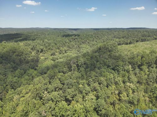 63 Acres Stanley Road, Brookwood, AL, 35444 | Card Image