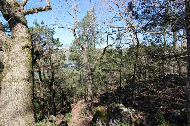 361 Rim Shoals Ln, House other with 2 bedrooms, 1 bathrooms and null parking in Mountain Home AR | Image 4
