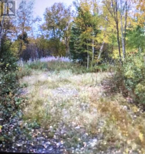 260A Main St, Embree, NL, A0G2A0 | Card Image