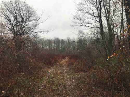 TBD Campground Rd, Tunnelton, WV, 26444 | Card Image