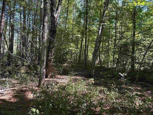 12 Baxter Pl, Alton, NH, 03809-5008 | Card Image