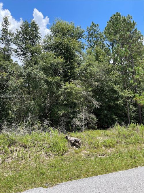 TBD Sw 59th Ln, DUNNELLON, FL, 34431 | Card Image