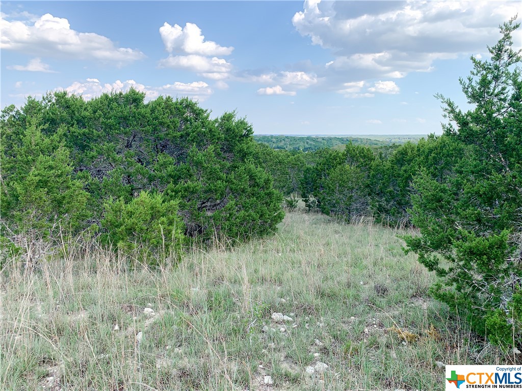 Land in Kempner