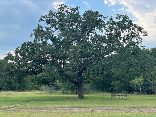 a-266 Catfish Ln, Lockhart, TX, 78644-4022 | Card Image