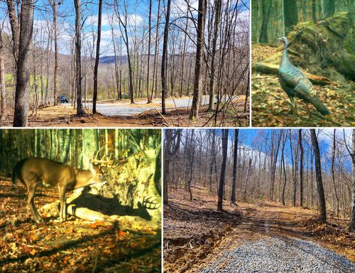 tract-1-pike-lake-getawa-0 Pike Lake Rd, Bainbridge, OH, 45612 | Card Image