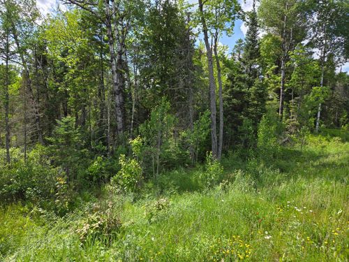 40 AC Us Highway 45, Watersmeet, MI, 49969 | Card Image