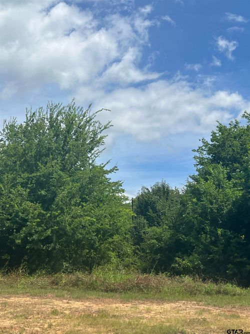 000 State Highway 64, Ben Wheeler, TX, 75754 | Card Image