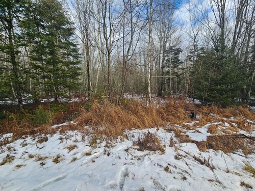 24 Off Sacarap Road, Columbia, ME, 04623 | Card Image