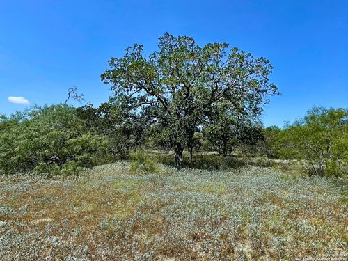 33 ACRES Cr 114, Nixon, TX, 78140 | Card Image