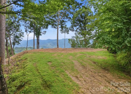 79-99999 Davidson Gap Rd, Leicester, NC, 28748 | Card Image