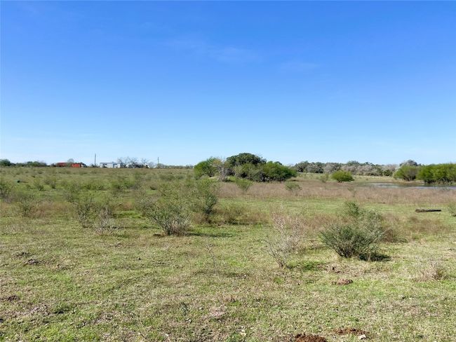 View of cleared land and natural grass | Image 11