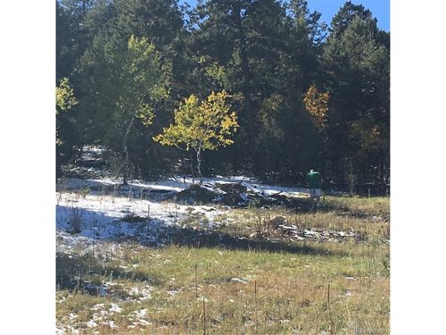 14745 Wetterhorn Peak Trl, Pine, CO, 80470-9142 | Card Image