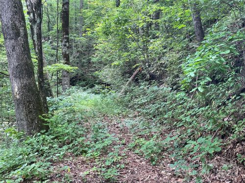 52-00 Eastatoe Gap Rd, Rosman, NC, 28772 | Card Image