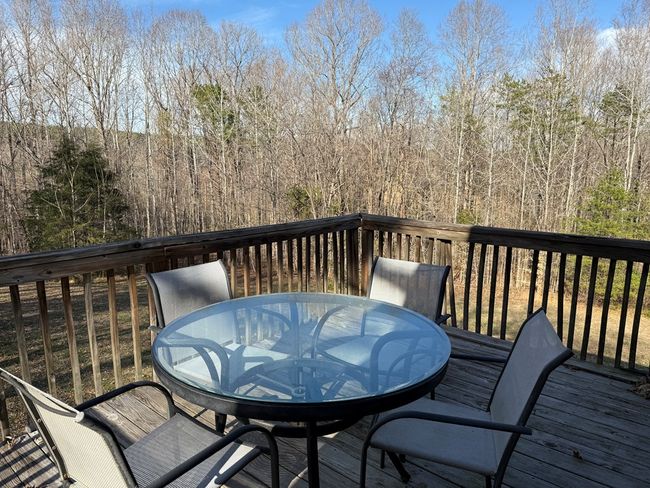 1228 Rosser Mill Rd, House other with 4 bedrooms, 3 bathrooms and 1 parking in PAMPLIN VA | Image 40