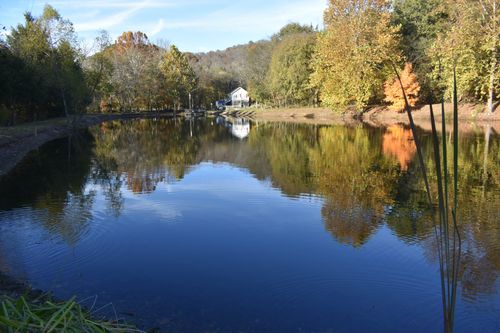 159 Dyer Branch Rd, Gordonsville, TN, 38563 | Card Image