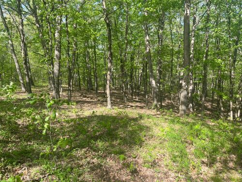 0 Log Cabin Trail, New Florence, MO, 63363 | Card Image