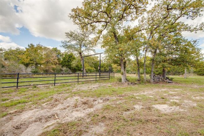 Open area | Image 19
