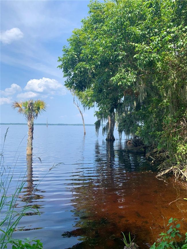 24645 Ne 177 Th Ter, House other with 2 bedrooms, 1 bathrooms and null parking in Fort Mc Coy FL | Image 79