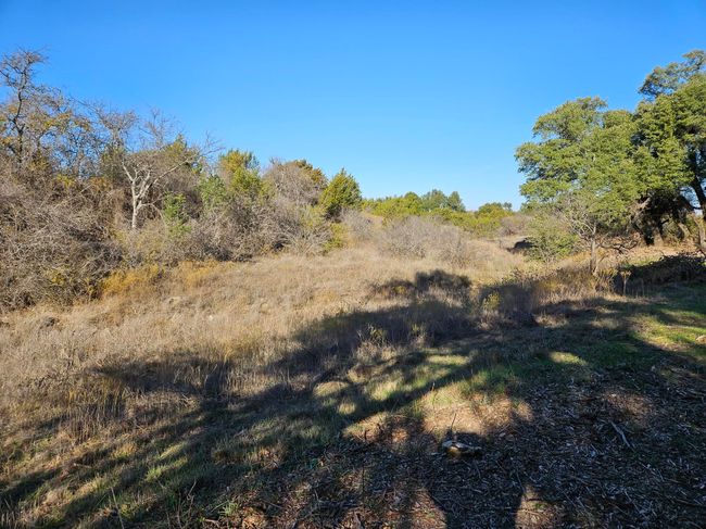 442 Hollow Dr, Home with 0 bedrooms, 0 bathrooms and null parking in Lipan TX | Image 9