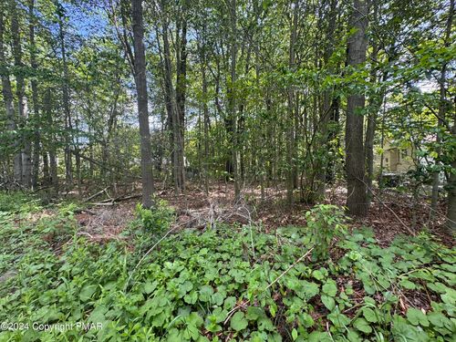 2159 Birchwood Boulevard, Pocono Summit, PA, 18346 | Card Image