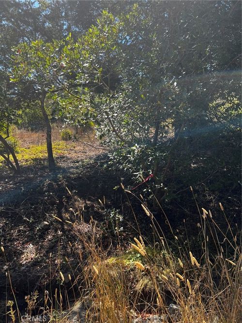 3236 Gleason St, Cambria, CA, 93428 | Card Image