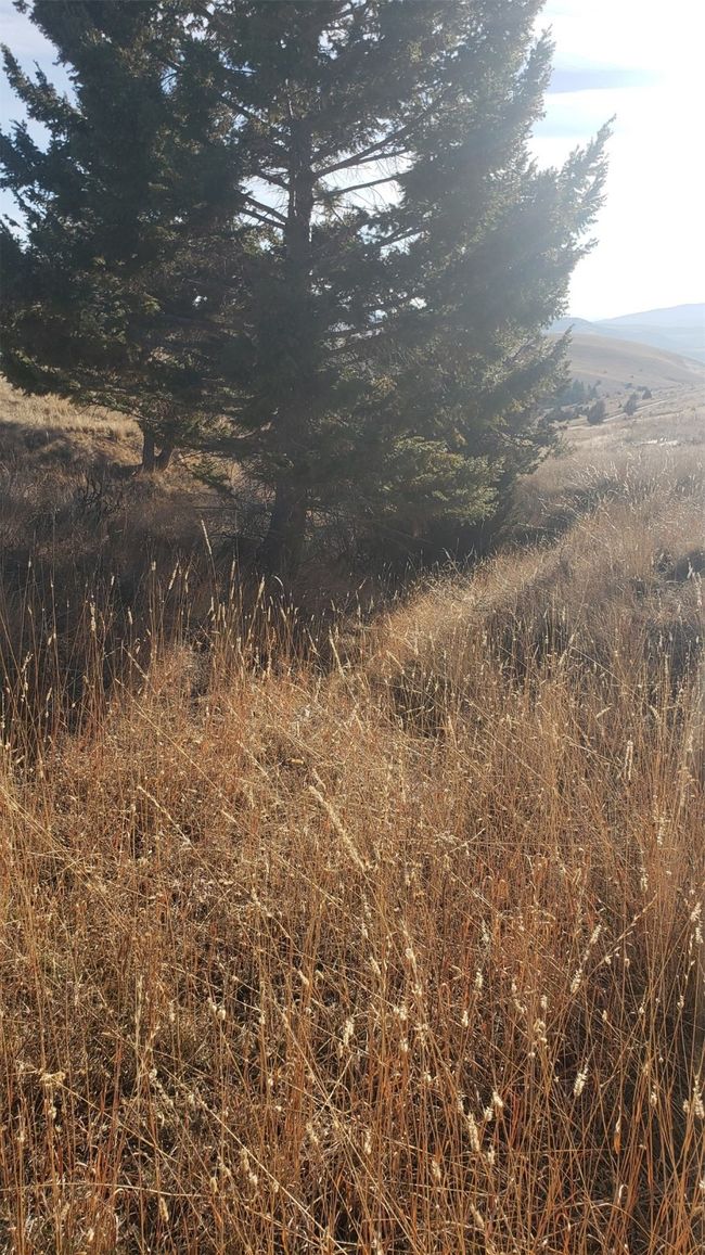 180 Lariat Loop, Home with 0 bedrooms, 0 bathrooms and null parking in Garrison MT | Image 7