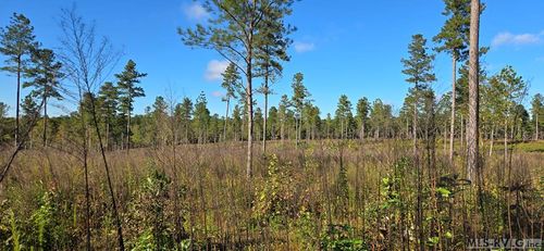 Lot C Millville Rd, Lawrenceville, VA, 23868 | Card Image