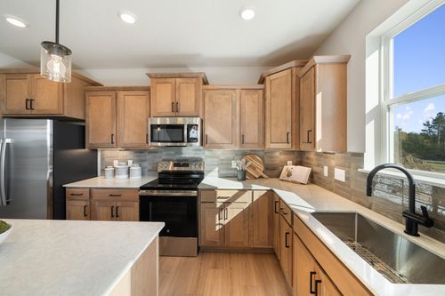 1005 Annagaire Curve, Rosemount, MN, 55068 | Card Image