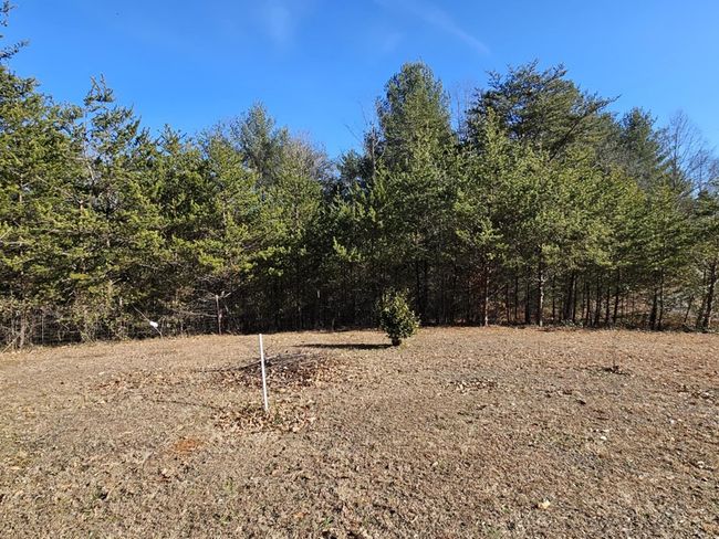 345 Pinecrest Ln, House other with 3 bedrooms, 2 bathrooms and 1 parking in Claudville VA | Image 12