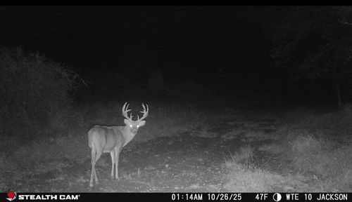 2000 W 1125 N, Freetown, IN, 47235 | Card Image