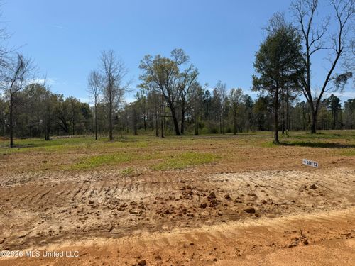 Lot 12 Oakley Lane, Lucedale, MS, 39452 | Card Image