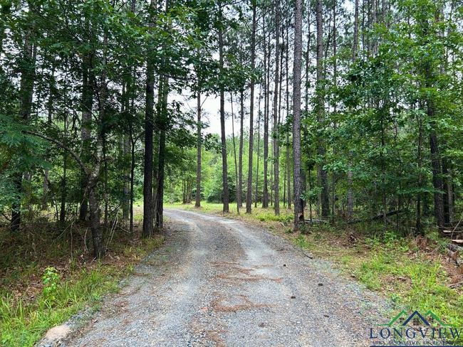 TBD 26.5 ac Boggy Rd., Home with 0 bedrooms, 0 bathrooms and null parking in Waskom TX | Image 11