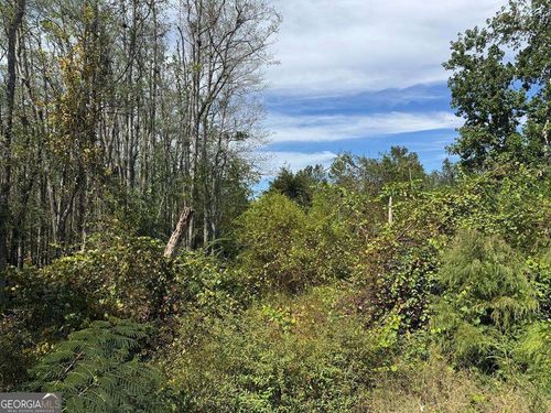 0 Lake Mayers Rd, Baxley, GA, 31513 | Card Image