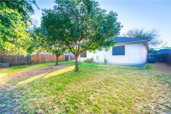 Back yard again | Image 27