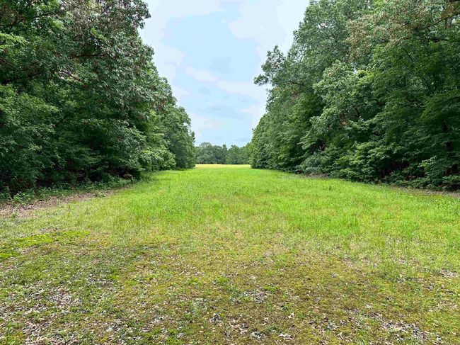 000 Oak Dale Rd, Home with 0 bedrooms, 0 bathrooms and null parking in Lonoke AR | Image 14
