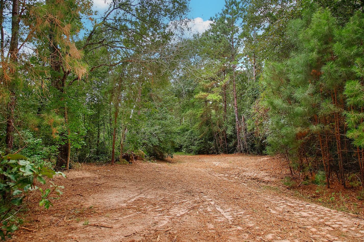 Land in Huntsville 4