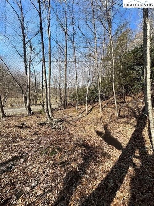 TBD Nc Highway 88 W, Creston, NC, 28615 | Card Image