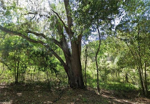 147 Sw Liberty Gln, Fort White, FL, 32038-4555 | Card Image